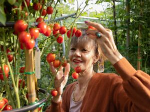 Pomodoro Dattero Davis UC Gordie Hanna semi