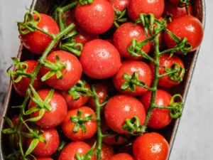 Pomodoro Koralik semi