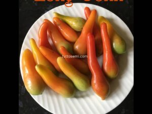 Pomodoro Long John semi