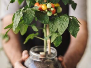 Pomodoro Mini Bell semi