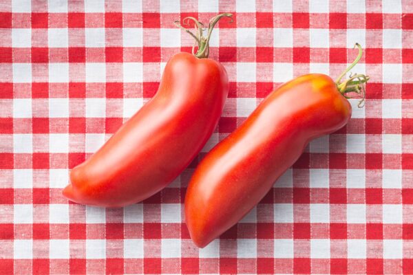 Pomodoro San Marzano Alto semi