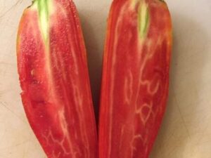 jede Pomodoro Jersey Devil semi