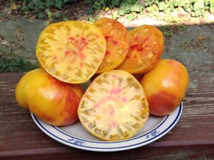 Pomodoro Ananas Semi