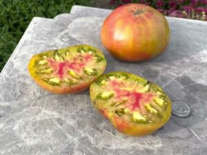 Pomodoro Ananas Nero