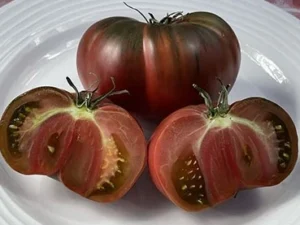 Pomodoro Black Sea Man semi