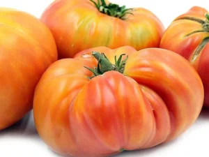 pohi Pomodoro Hillbilly